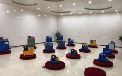 ประเทศจีน Shanghai Fanying Machinery Technology Co., Ltd. โปรไฟล์บริษัท